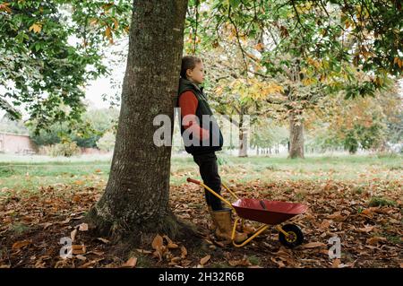 Boy stand im Herbst gegen einen Baum mit Schubkarre auf der Nahrungssuche Stockfoto