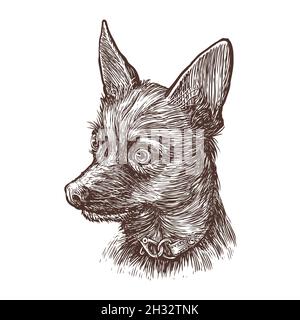 Retro-Skizze des lustigen Hundes. Porträt von Welpen vintage Vektor-Illustration Stock Vektor