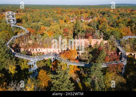 Beelitz, Deutschland. Oktober 2021. Besucher wandern bei sonnigem Wetter entlang des Baumwipfelpfades „Tree and Time“ zwischen den herbstlichen Bäumen. Der 320 Meter lange Baumwipfelpfad befindet sich auf dem Gelände der ehemaligen Lungenheilanstalten in Beelitz-Heilstätten. Von der Stahl- und Holzkonstruktion über den Baumkronen aus können Besucher die denkmalgeschützten Gebäude und den Park besichtigen. (Luftaufnahme mit einer Drohne) Quelle: Monika Skolimowska/dpa-Zentralbild/ZB/dpa/Alamy Live News Stockfoto