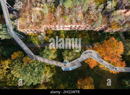 Beelitz, Deutschland. Oktober 2021. Besucher wandern bei sonnigem Wetter entlang des Baumwipfelpfades „Tree and Time“ zwischen den herbstlichen Bäumen. Der 320 Meter lange Baumwipfelpfad befindet sich auf dem Gelände der ehemaligen Lungenheilanstalten in Beelitz-Heilstätten. Von der Stahl- und Holzkonstruktion über den Baumkronen aus können Besucher die denkmalgeschützten Gebäude und den Park besichtigen. (Luftaufnahme mit einer Drohne) Quelle: Monika Skolimowska/dpa-Zentralbild/ZB/dpa/Alamy Live News Stockfoto