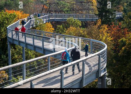 Beelitz, Deutschland. Oktober 2021. Besucher wandern bei sonnigem Wetter entlang des Baumwipfelpfades „Tree and Time“ zwischen den herbstlichen Bäumen. Der 320 Meter lange Baumwipfelpfad befindet sich auf dem Gelände der ehemaligen Lungenheilanstalten in Beelitz-Heilstätten. Von der Stahl- und Holzkonstruktion über den Baumkronen aus können Besucher die denkmalgeschützten Gebäude und den Park besichtigen. Quelle: Monika Skolimowska/dpa-Zentralbild/dpa/Alamy Live News Stockfoto