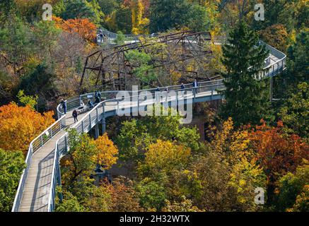 Beelitz, Deutschland. Oktober 2021. Besucher wandern bei sonnigem Wetter entlang des Baumwipfelpfades „Tree and Time“ zwischen den herbstlichen Bäumen. Der 320 Meter lange Baumwipfelpfad befindet sich auf dem Gelände der ehemaligen Lungenheilanstalten in Beelitz-Heilstätten. Von der Stahl- und Holzkonstruktion über den Baumkronen aus können Besucher die denkmalgeschützten Gebäude und den Park besichtigen. Quelle: Monika Skolimowska/dpa-Zentralbild/dpa/Alamy Live News Stockfoto