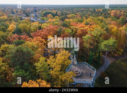 Beelitz, Deutschland. Oktober 2021. Bei sonnigem Wetter stehen die Besucher auf einer Aussichtsplattform auf dem Baumwipfelpfad „Tree and Time“. Der 320 Meter lange Baumwipfelpfad befindet sich auf dem Gelände der ehemaligen Lungenheilanstalten in Beelitz-Heilstätten. Von der Stahl- und Holzkonstruktion über den Baumkronen aus können Besucher die denkmalgeschützten Gebäude und die Parklandschaft besichtigen. (Luftaufnahme mit einer Drohne) Quelle: Monika Skolimowska/dpa-Zentralbild/dpa/Alamy Live News Stockfoto