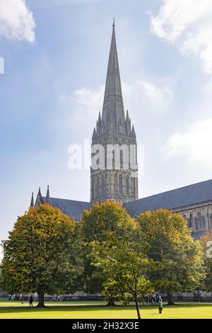 Autumn UK; Salisbury Cathedral UK; im Herbst vom Grün aus gesehen, Cathedral Close, Salisbury, Wiltshire UK Stockfoto