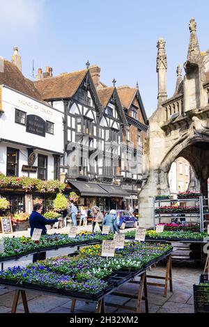 Salisbury Market Cross; Menschen einkaufen an einem Marktstand neben dem Market Cross oder Poultry Cross, erbaut im 14th. Jahrhundert, Salisbury Wiltshire UK Stockfoto