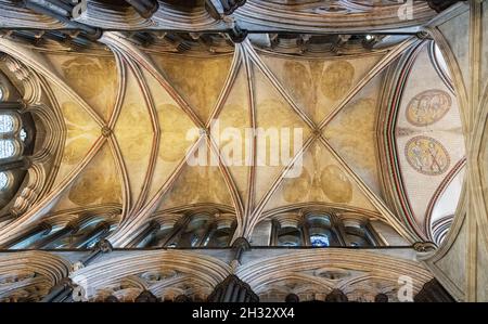 Decke der Salisbury Cathedral; im Inneren der Salisbury Cathedral, einer mittelalterlichen Kathedrale aus dem 13th. Jahrhundert, Salisbury Wiltshire UK Stockfoto