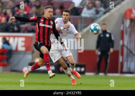 Köln, Deutschland. Okt. 2021. Köln, Deutschland, 24.10.2021, Bundesliga, Spieltag 9, 1. FC Köln - Bayer 04 Leverkusen, Florian Wirtz (B04), Dejan Ljubicic (Köln) kämpfen um den Ball. Quelle: Jürgen Schwarz/Alamy Live News Stockfoto