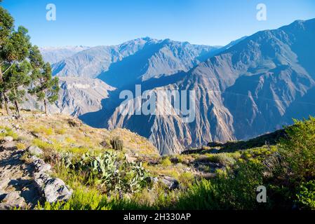 Canyon des Colca River im Süden Perus. Stockfoto