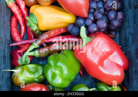 Korb mit gemischten Früchten und Gemüse, die alle in einem Gewächshaus angebaut werden, einschließlich Tomaten, Paprika, Chili's und Trauben. Stockfoto