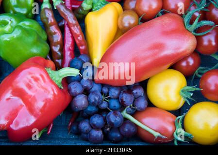 Korb mit gemischten Früchten und Gemüse, die alle in einem Gewächshaus angebaut werden, einschließlich Tomaten, Paprika, Chili's und Trauben. Stockfoto