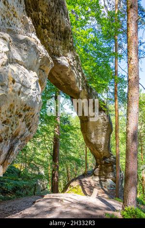 Einzigartiger Sandsteinbogen im Kiefernwald Stockfoto