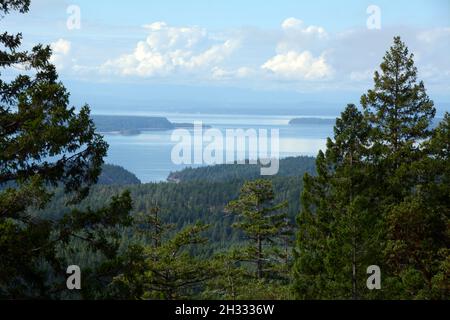 Ein Aussichtspunkt mit Blick auf die Straße von Georgia im Pazifischen Ozean vom Sunshine Coast Hiking Trail, nahe Lund, British Columbia, Kanada. Stockfoto