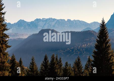 Bergwald Im Herbst Mit Bergen Im Hintergrund Stockfoto