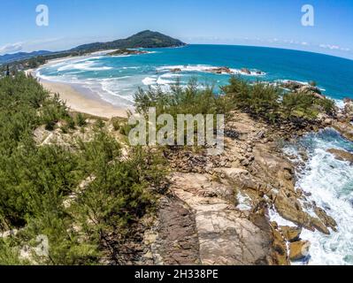 Luftaufnahme mit Wellen, Felsen und Pinien, Praia da Barra, Garopaba, Santa Catarina, Brasilien Stockfoto