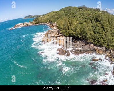 Luftaufnahme mit Wellen, Felsen und Pinien, Praia da Barra, Garopaba, Santa Catarina, Brasilien Stockfoto