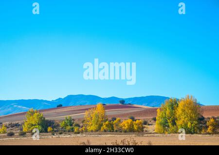 Herbstlandschaft. Sierra de Ayllon, Provinz Segovia, Castilla Leon, Spanien. Stockfoto