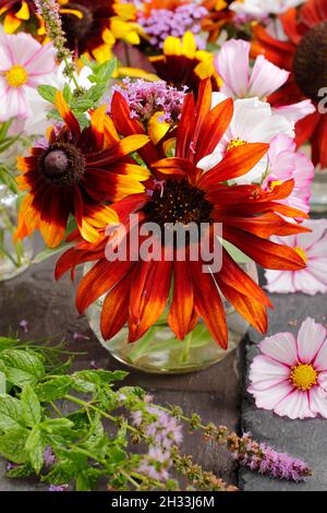 Schneiden Sie Blumen in der Vase. Informelle Anordnung von Gartenblumen in recycelten Marmeladengläsern - Sonnenblumen, Rudbeckien, Eisenkraut, Kosmos, Minze und Ringelblumen. UK Stockfoto