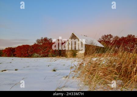Alte Holzscheune auf einem Feld mit Büschen und Schnee auf dem Land bedeckt Stockfoto