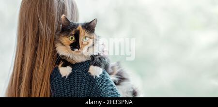 Frau mit langen Haaren, die sich an ihrer Schulter hielt und ihr Haustier an sich umarmte - eine dreifarbige junge Katze. Rückansicht. Katze schaut auf die Kamera. Lieblings-Inland A Stockfoto