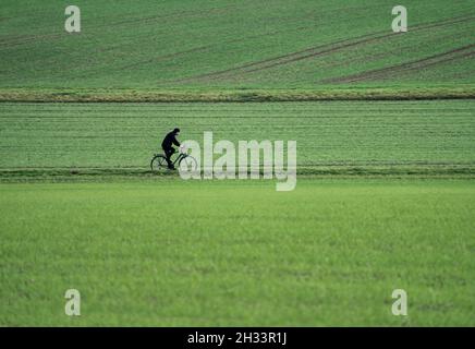 Radweg R1, bei Wesertal, Weser-Hochland, Weserbergland, Hessen, Deutschland Stockfoto