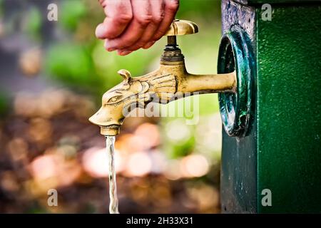 Nahaufnahme einer Menschenhand, die den Wasserhahn von Vintage-Tierkopf-Messinghahn mit Trinkwasser auf der Stadtstraße oder im Park ein- oder ausschaltet. Fließendes Wasser. Se Stockfoto