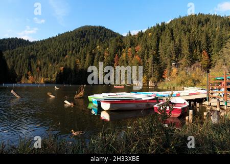 Farbenfrohe Herbstblätter und Boote in der Lacul Rosu, auch bekannt als Roter See, und Gyilkos zu, oder der Killer See in Rumänien, Transilvania. Stockfoto