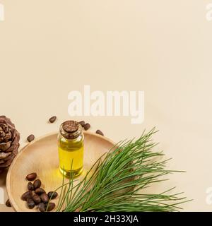 Koniferen Spa aromatisches ätherisches Zedernöl in kleiner Glasflasche auf Holzplatte mit Zedernzweig, Kegel, Nüssen auf beigem Hintergrund mit Kopierraum. Aro Stockfoto