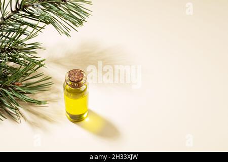Kleine Glasflasche mit ätherischem Kiefernöl mit Kiefernzweig und Schatten auf beigem Hintergrund. Aromatherapie- und Spa-Konzept. Platz für Text kopieren. Stockfoto