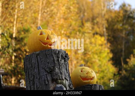 Zwei geschnitzte Kürbisse auf einem Baumstumpf für Halloween Stockfoto