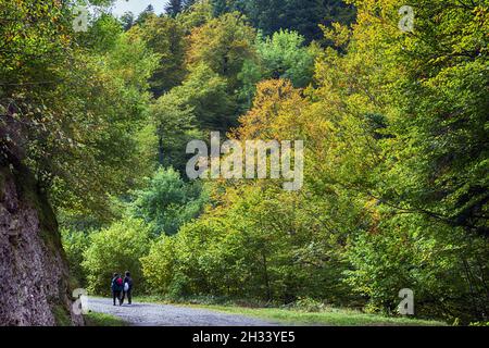 Frauen wandern in einer atemberaubenden Herbstwaldlandschaft. Irati Wald in Navarra. Spanien Stockfoto