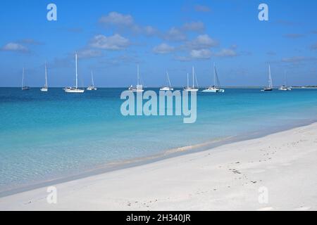 Segelboote / Yachten / Segelboote vor der Insel Barbuda, Teil des Landes Antigua und Barbuda, Westindien in der Karibik verankert Stockfoto