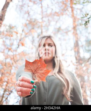 Stilvolles weibliches Modell posiert im Wald und genießt den Herbst oder Herbst Stockfoto