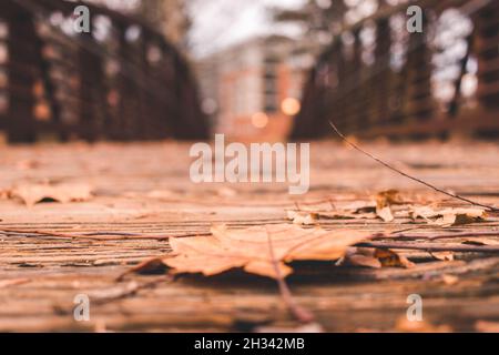 Unfokussierte Brücke mit gefallener orangefarbener Blattfarbe in Downtown Durham, North Carolina Stockfoto