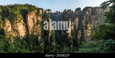 Die Quarzit-Sandsteinsäulen der Avatarberge im Zhangjiajie National Forest Park in China. Stockfoto