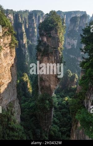 Die Südliche Himmelssäule oder der Avatar Hallelujah Berg, Zhangjiajie National Forest Park in China. Stockfoto