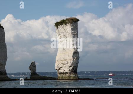 Old Harry Rocks Stockfoto