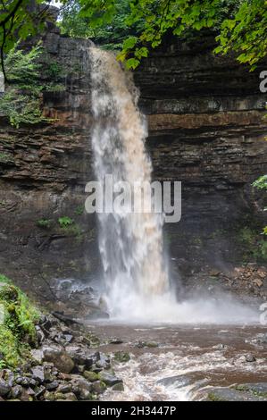 Hardraw Scaur Waterfall (Englands höchster Wasserfall mit einem Tropfen) bei Hardraw in der Nähe der kleinen Marktstadt Hawes in Wensleydale in den Yorkshire Dales Stockfoto