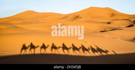 Schatten von Touristen Karawanenreiten Dromedaren durch Sanddünen in der Sahara bei Merzuga in Marokko - Wanderlust Reisekonzept Stockfoto