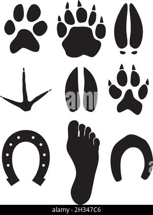 Paw druckt Vektorgrafik Stock Vektor