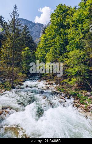 Cold Mountain Stream aus Wasserfall Savica, Fluss Sava in der Nähe von Lake Bohinj, Slowenische Alpen, Slowenien. Der Sava Bohinjka ist ein Oberlauf des Flusses Sava Stockfoto