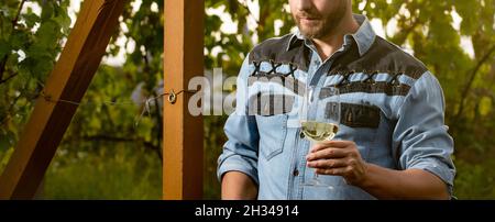 Ein Mann aus dem Bereich des kurzgeschnittenen Önologen hält im Sommer Weinglas auf dem Weingut im Freien Stockfoto