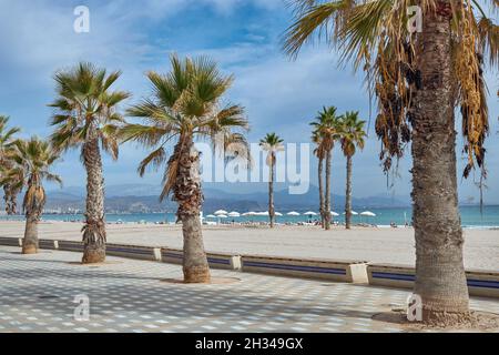 San Juan Beach in der spanischen Stadt Alicante, Valencia, Spanien, Europa Stockfoto