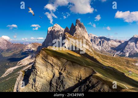 Blick auf die Seceda mit Vögel fliegen über die Gipfel. Trentino Südtirol, Dolomiten, Alpen, Südtirol, Italien. Gröden. Majestic Furchetta Peak. Odles Stockfoto