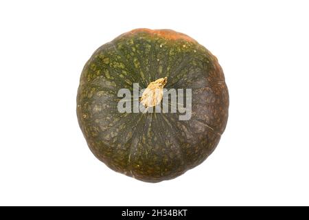 Draufsicht auf Green Kuri kabocha Squash auf weißem Hintergrund Stockfoto