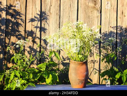 Blumenstrauß in altem Tontopf auf verwittertem Holzhintergrund. Stockfoto