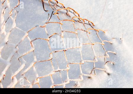 Abstraktes Winterfoto mit rostigen Käfig Rabitz unter weißem Schnee an einem sonnigen Tag Stockfoto