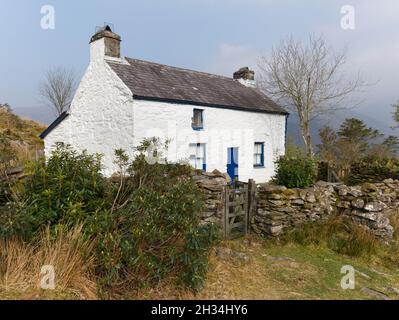 Das alte Bauernhaus von Hafod Owen, in einem abgelegenen Ort, hoch auf den Mooren über Beddgelert, Snowdonia Stockfoto