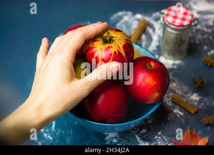 Die Hand einer Frau greift in einer Schüssel nach einem reifen roten Apfel. Auswahl von Früchten für die Herstellung eines traditionellen Thanksgiving-Apfelkuchen. Zutaten für das Backen zu Hause Stockfoto