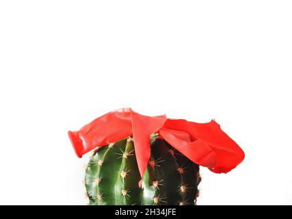 Kaktus und Ballon Konzept von Gefahr, Unaufmerksamkeit und Verletzlichkeit Stockfoto