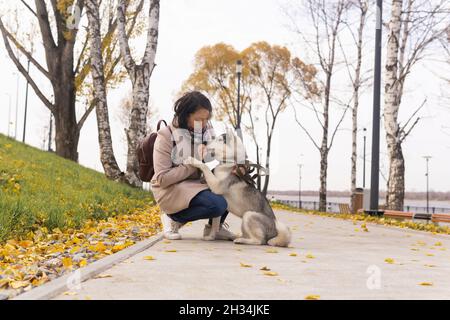 Junge Frau trainiert ihren Husky Dog im Herbst-Küstenpark Stockfoto